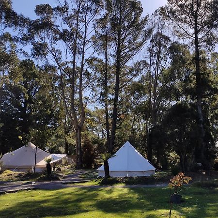 Glamping At Zeehan Bush Camp Экстерьер фото