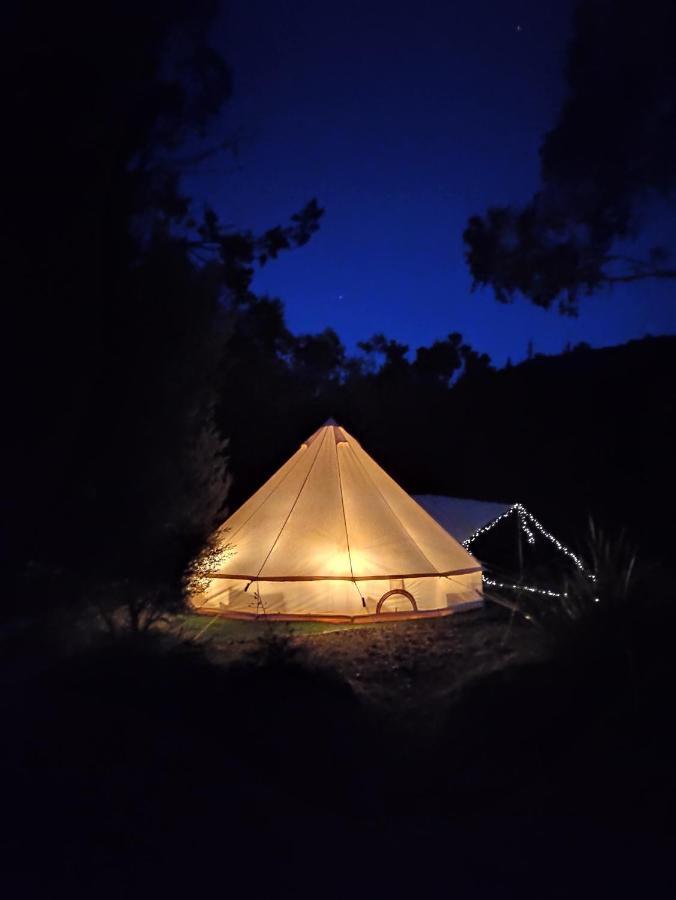 Glamping At Zeehan Bush Camp Экстерьер фото
