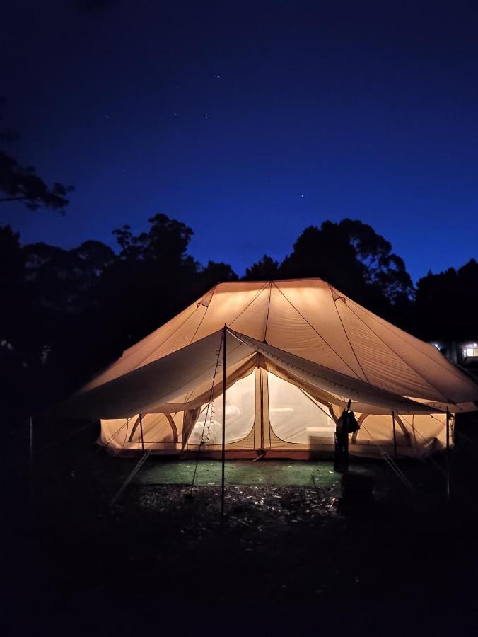 Glamping At Zeehan Bush Camp Экстерьер фото