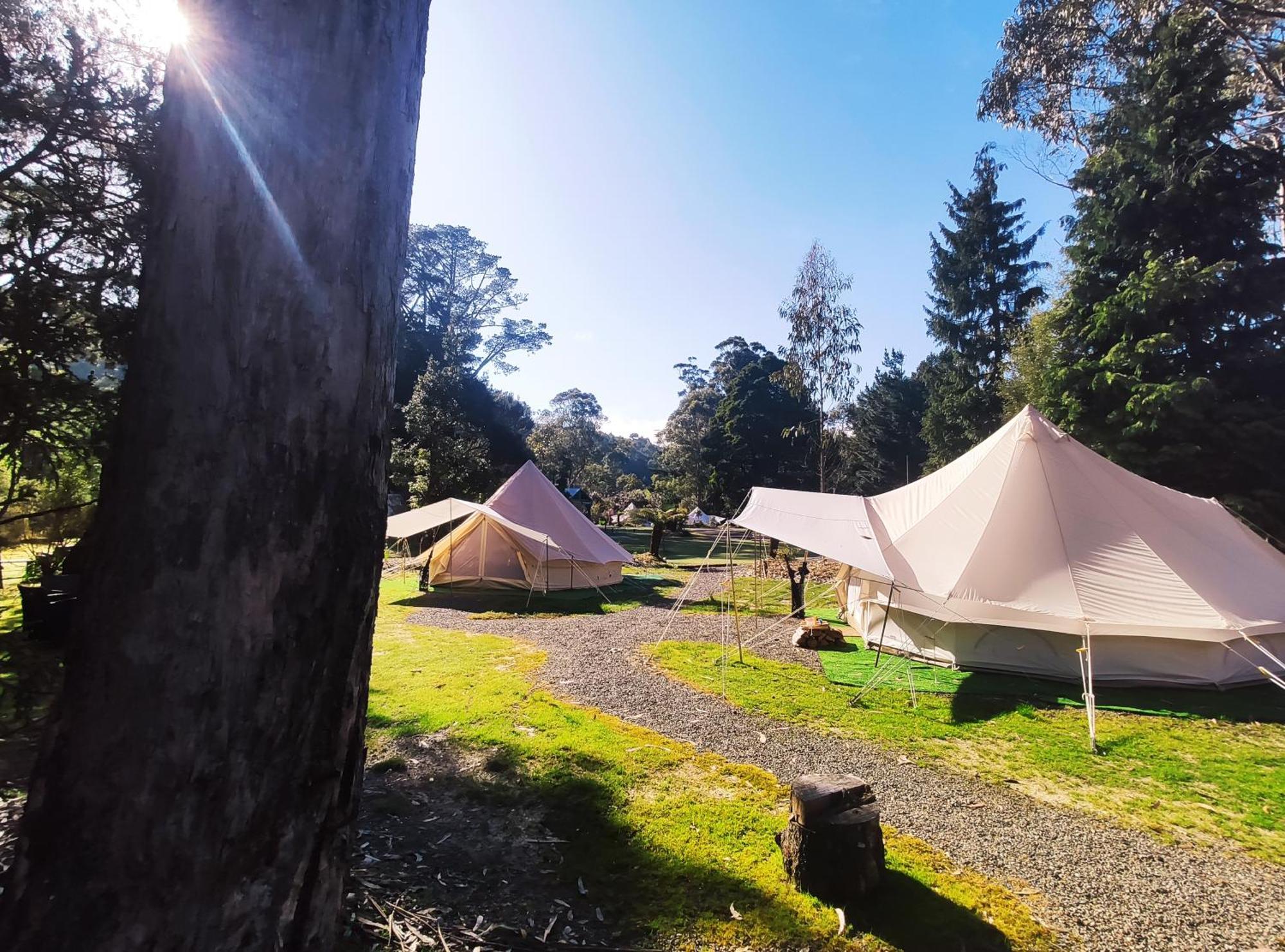 Glamping At Zeehan Bush Camp Экстерьер фото