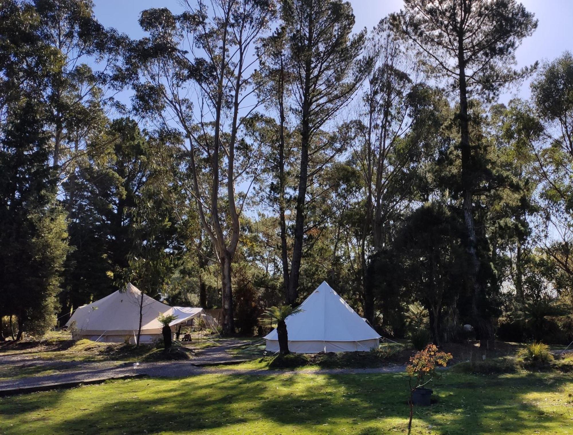 Glamping At Zeehan Bush Camp Экстерьер фото