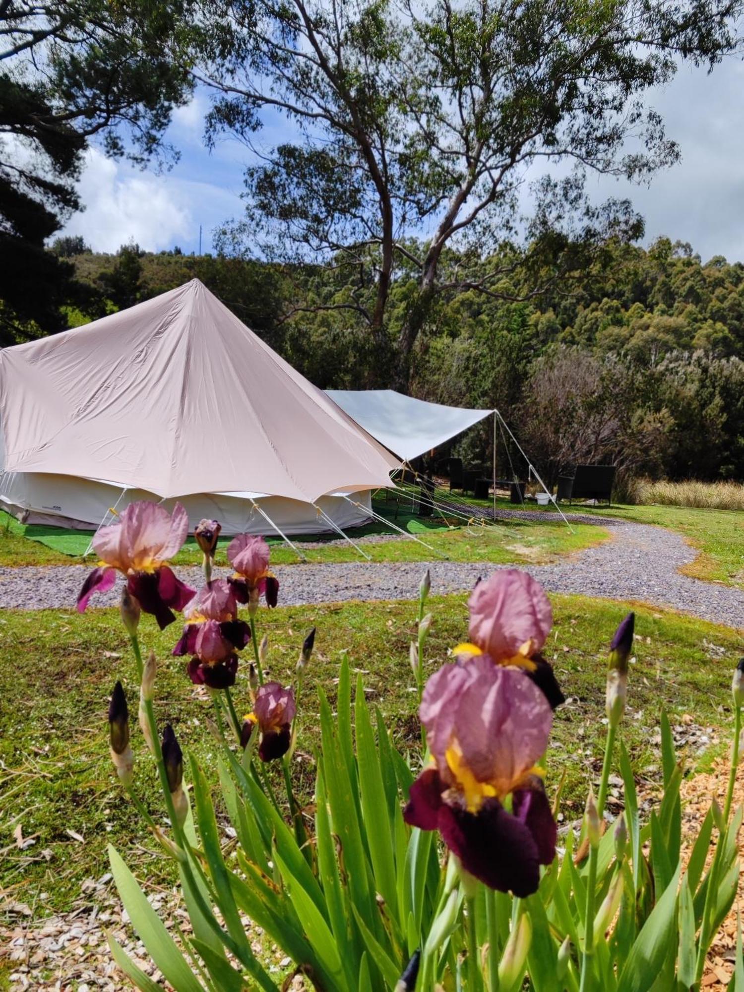 Glamping At Zeehan Bush Camp Экстерьер фото