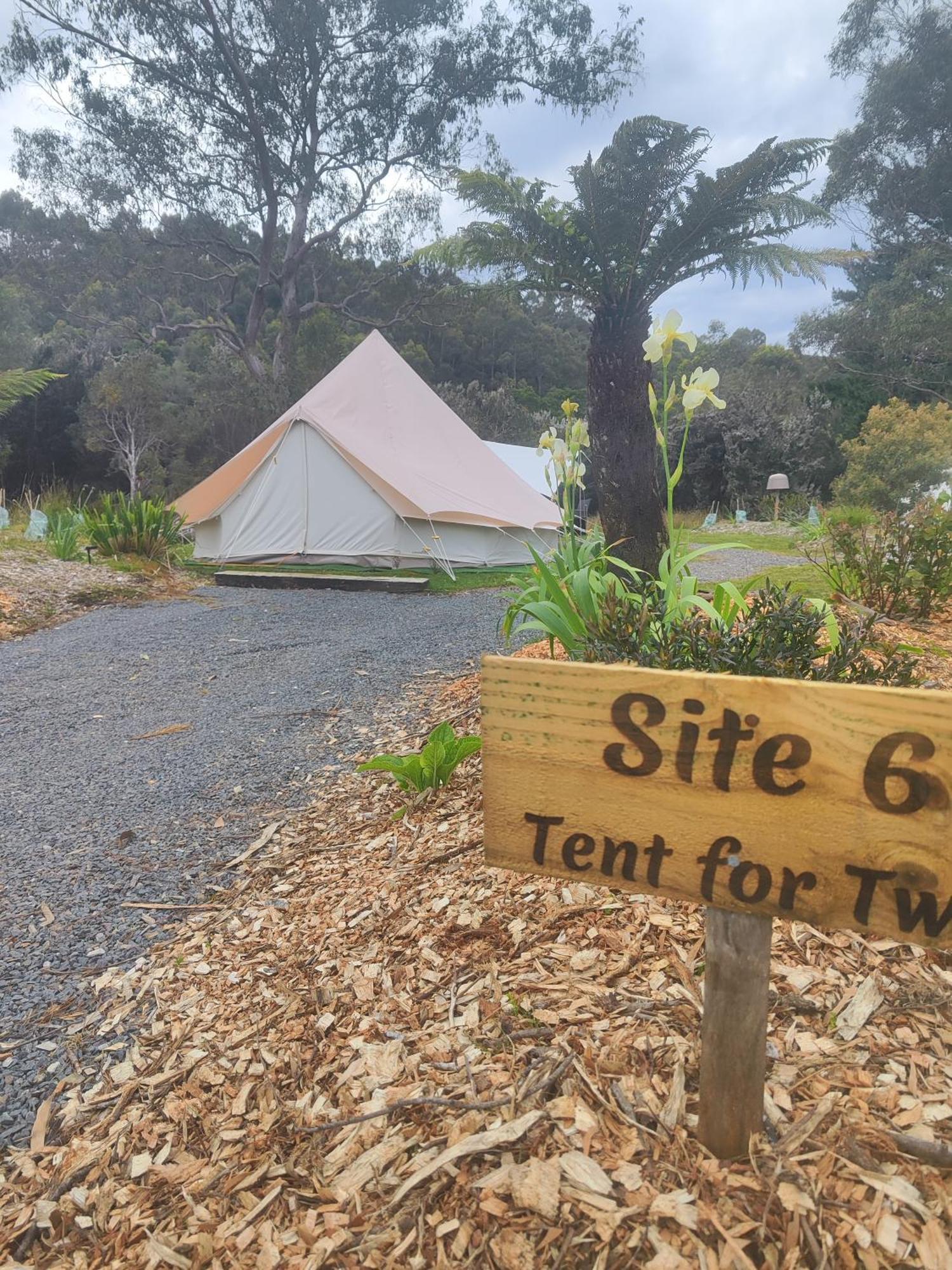 Glamping At Zeehan Bush Camp Экстерьер фото