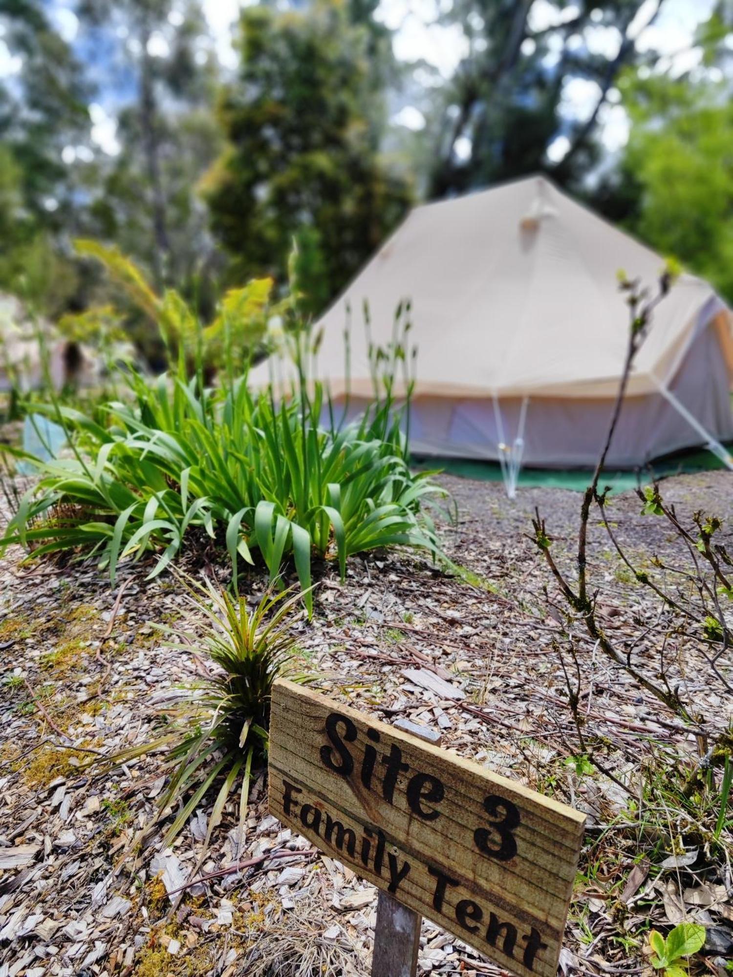 Glamping At Zeehan Bush Camp Экстерьер фото