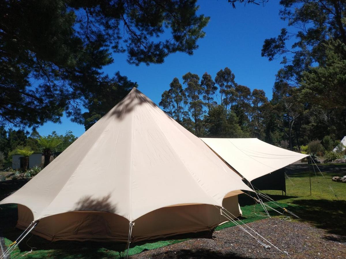 Glamping At Zeehan Bush Camp Экстерьер фото