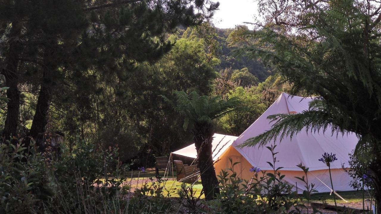 Glamping At Zeehan Bush Camp Экстерьер фото