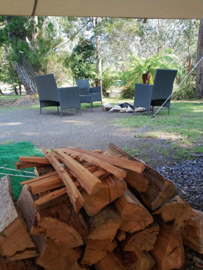 Glamping At Zeehan Bush Camp Экстерьер фото